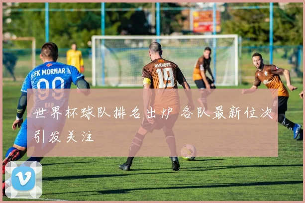 世界杯球队排名出炉 各队最新位次引发关注